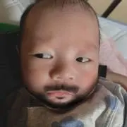 くまドルチェの画像