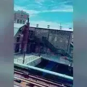 まるいの画像