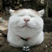 ちゃっぺの画像