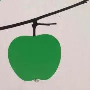 まりめろ