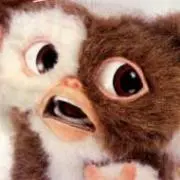 GIZMO.