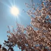 あや3の画像