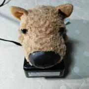 チーズの画像