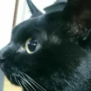まろ