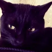 Bonの画像