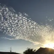 KIMIの画像