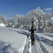 雪女の画像