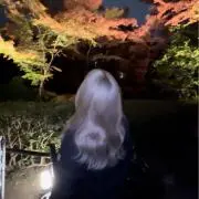 hi