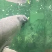 ゆっこの画像
