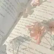 みの画像
