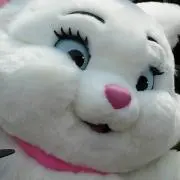 丸丸まりも　プロフ必読の画像