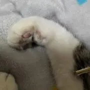 marimonoteの画像