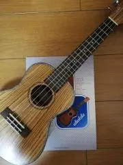 ハムちゃんの画像