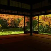 花ちゃんの画像
