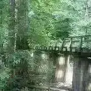 みかねの画像