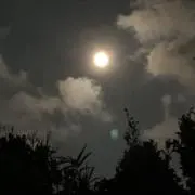 Mmmmの画像