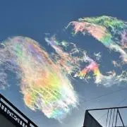 やす