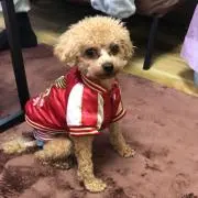 モコの画像