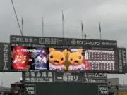 とこちい