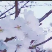 ぽっくるの画像