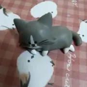 *ぽんた*の画像