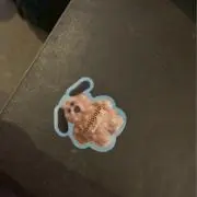めっきーの画像