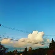 ゆう