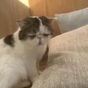 断捨離中の画像