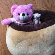 ゆーむの画像
