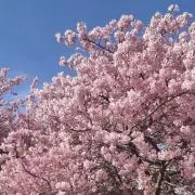 プロフ必読の画像