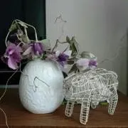 ちぃの画像