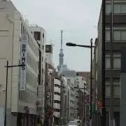 Y