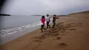 ぷうやんの画像