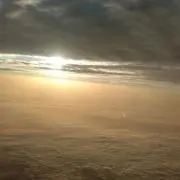 マゴリの画像