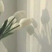 aiの画像