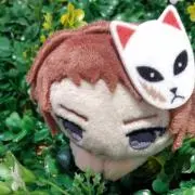 さくらの画像