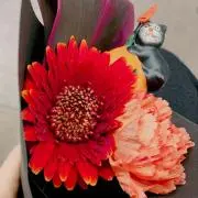 みぃ。