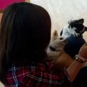 ゆんの画像