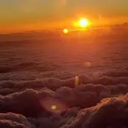 ゆりりんの画像
