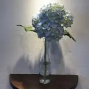 サンタクロースのお友達の画像