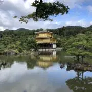 たかちゃんねるどっとこむの画像