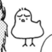 ひよこ＊平日発送のみ