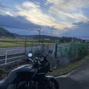 ボルボル