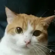 晴れ