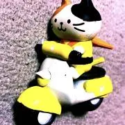 ねこらいだーの画像