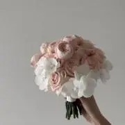 arisa⋆꙳の画像