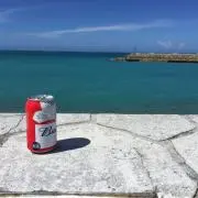 タカハシの画像