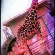 yoshio