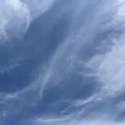 ame