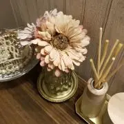 しんこたんこ